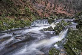 Betoverende Watervallen in België: Natuurlijke Schoonheid Ontdekken