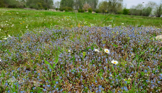 Ontdek de Pracht van Lanaken, België: Natuur, Geschiedenis en Gastvrijheid
